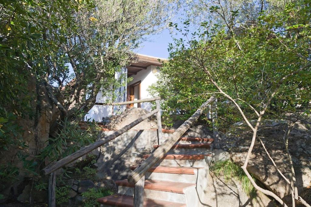 Villa Sara Olbia Zewnętrze zdjęcie
