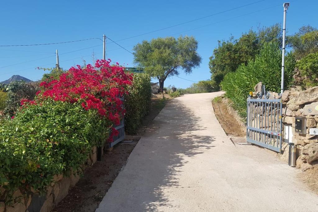 Villa Sara Olbia Zewnętrze zdjęcie