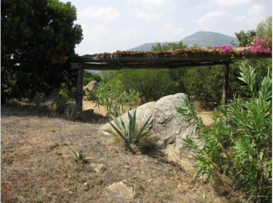 Villa Sara Olbia Zewnętrze zdjęcie