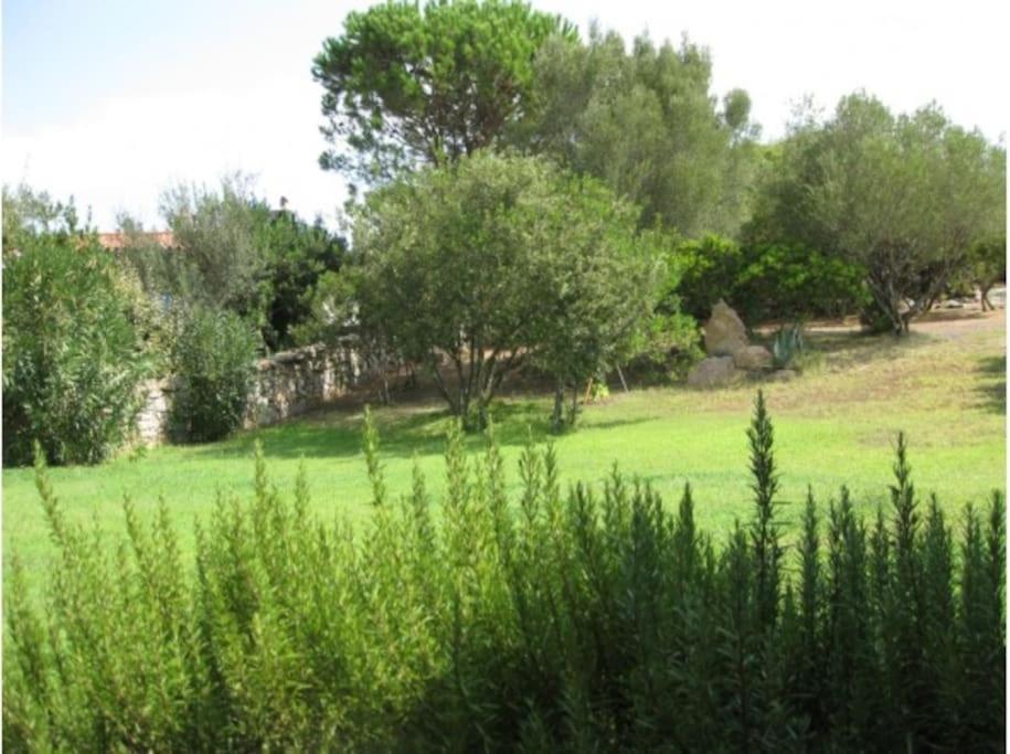 Villa Sara Olbia Zewnętrze zdjęcie